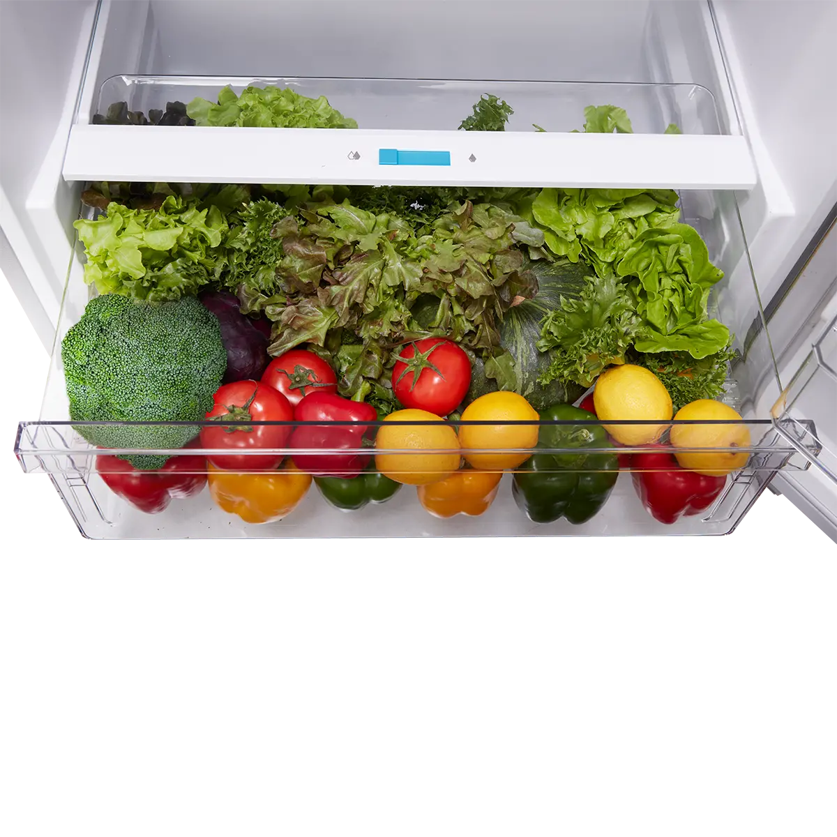 14.2 cu. ft. Garage Ready Top-Freezer Refrigerator (Stainless Steel) view 10