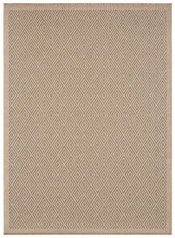 Indoor/Outdoor 8' x 10' Rug